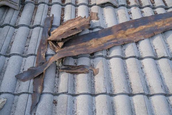 Exploring Roof Replacement Options with Seymour Contractors post thumbnail image